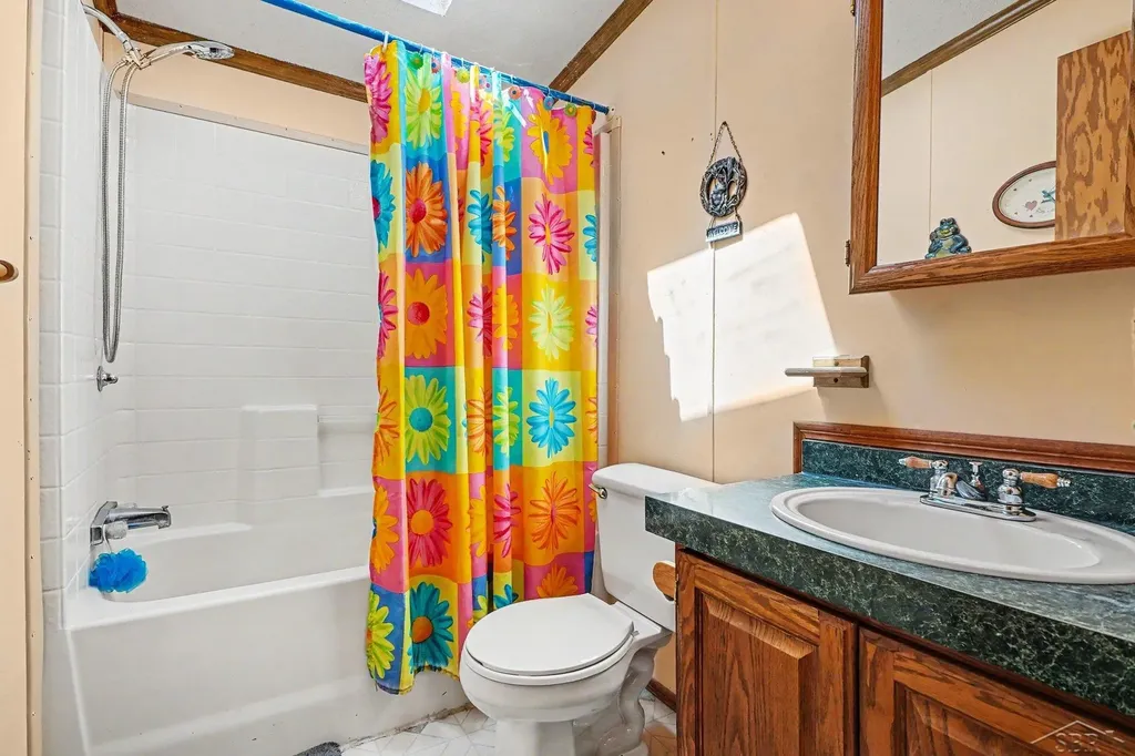 12725 Baldwin Drive Chesaning Township MI 48616