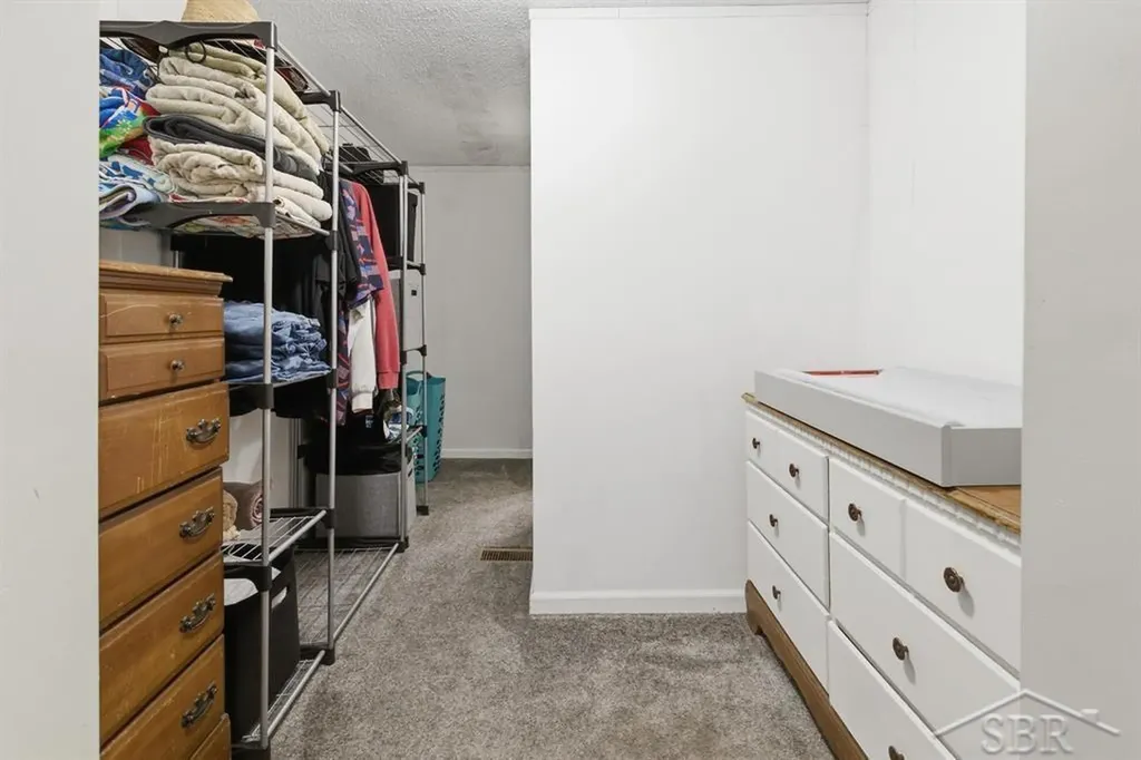 203 W Sampson Drive Jerome Township MI 48657