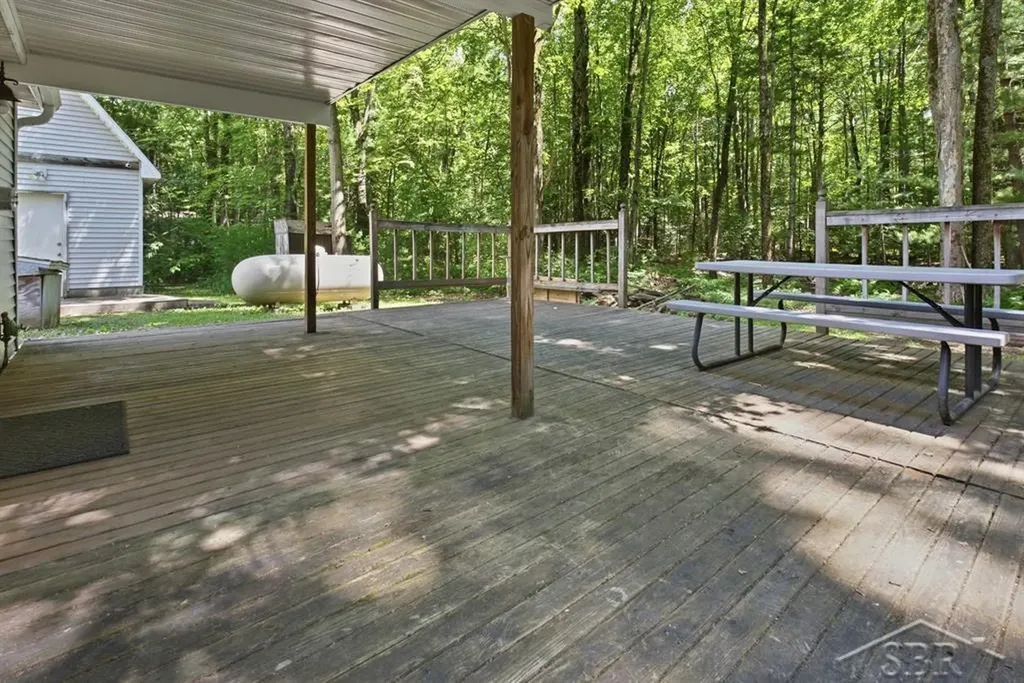 203 W Sampson Drive Jerome Township MI 48657