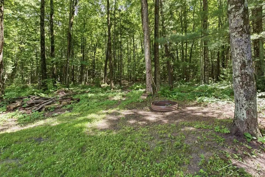 203 W Sampson Drive Jerome Township MI 48657