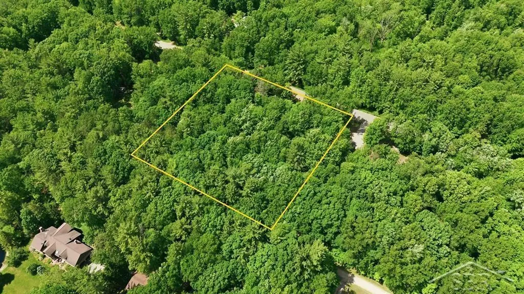 203 W Sampson Drive Jerome Township MI 48657