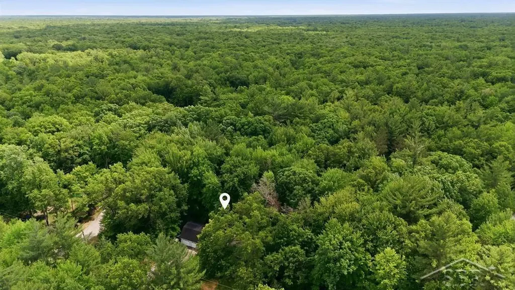 203 W Sampson Drive Jerome Township MI 48657