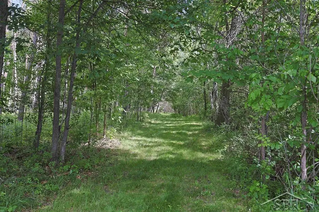 2202 W Huckleberry Road Jerome Township MI 48657