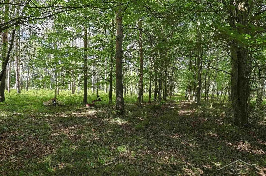 2202 W Huckleberry Road Jerome Township MI 48657
