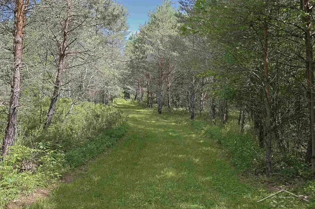 2202 W Huckleberry Road Jerome Township MI 48657
