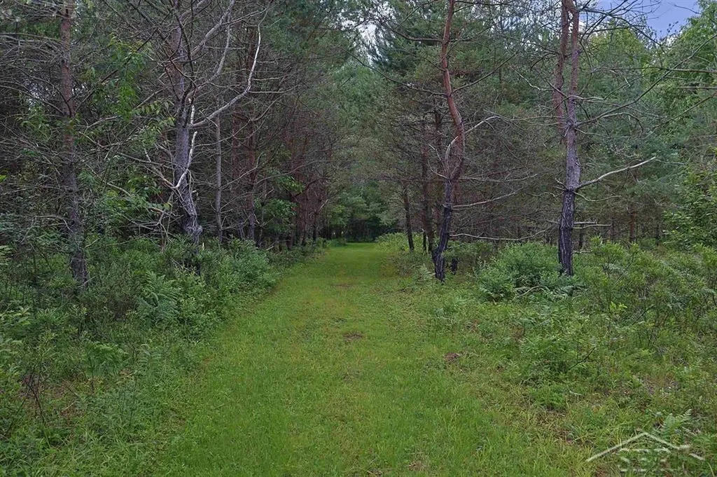 2202 W Huckleberry Road Jerome Township MI 48657