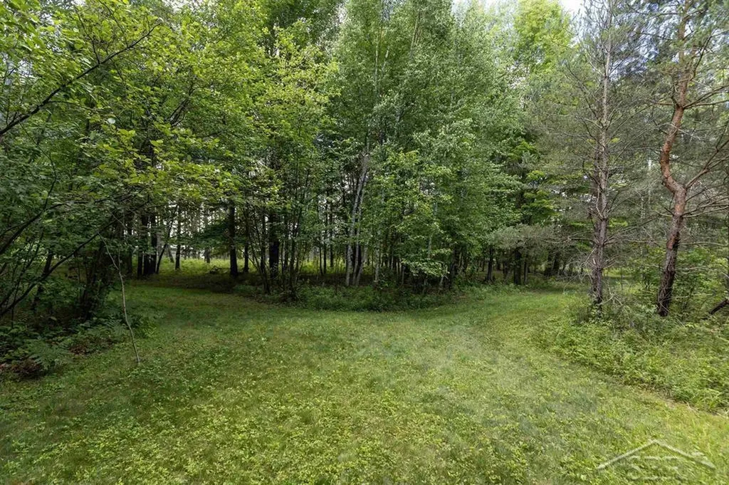 2202 W Huckleberry Road Jerome Township MI 48657
