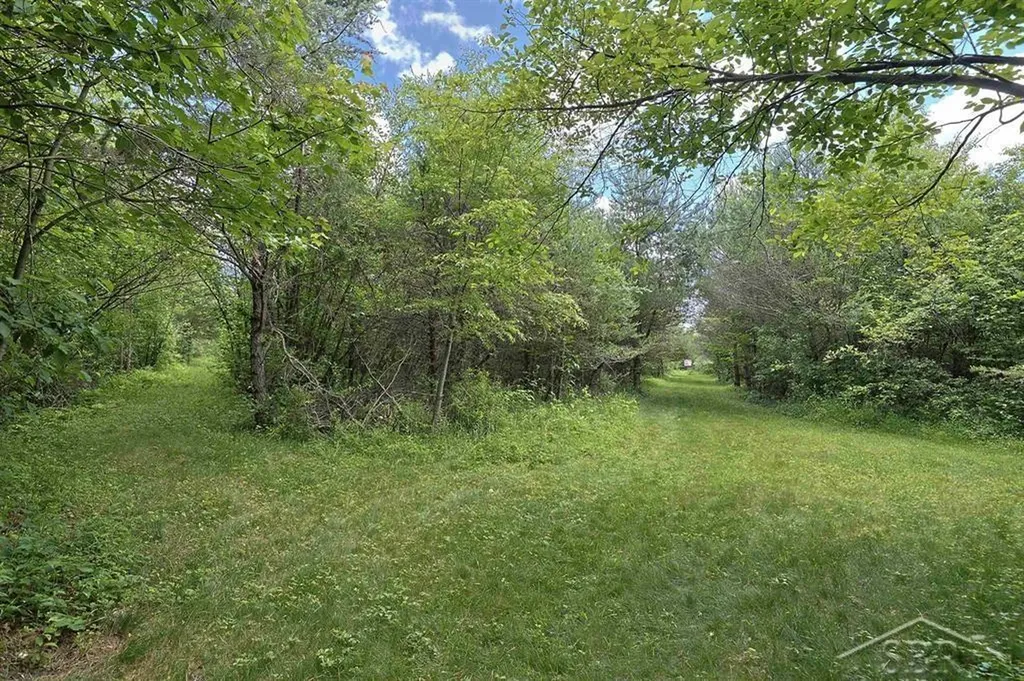 2202 W Huckleberry Road Jerome Township MI 48657