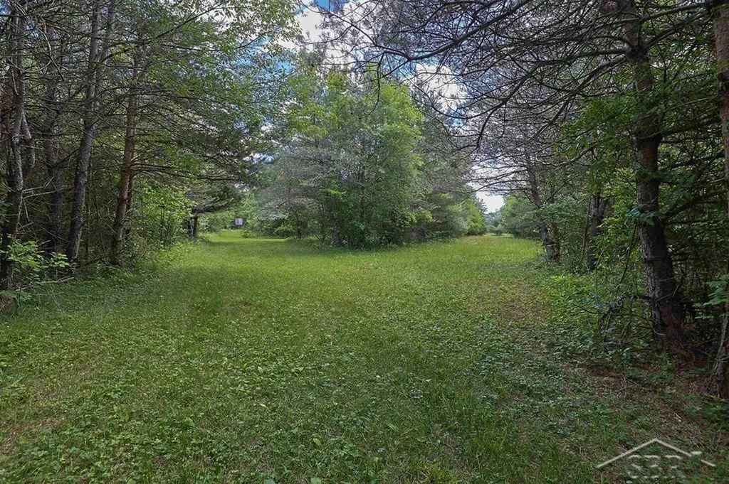 2202 W Huckleberry Road Jerome Township MI 48657