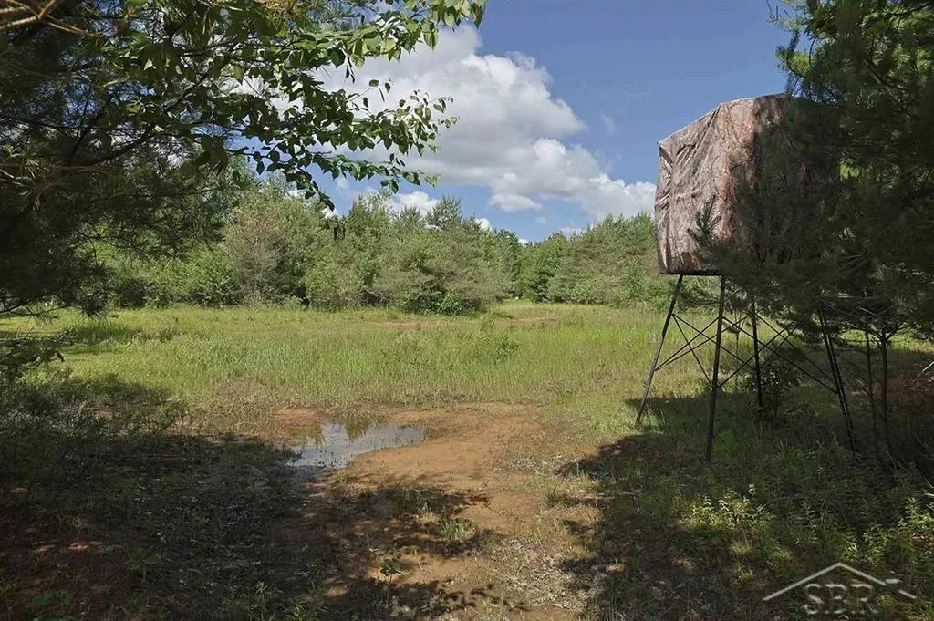 2202 W Huckleberry Road Jerome Township MI 48657
