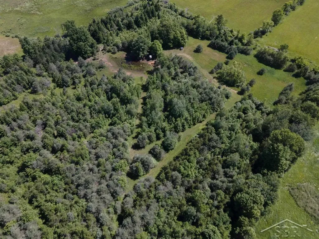 2202 W Huckleberry Road Jerome Township MI 48657