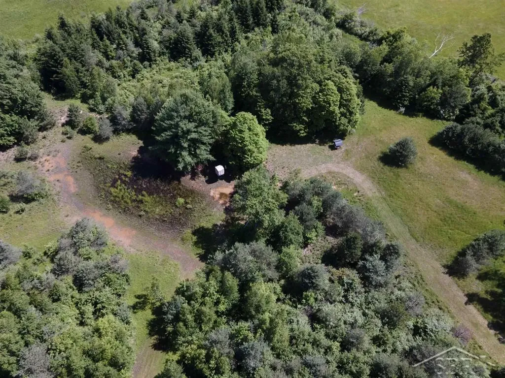 2202 W Huckleberry Road Jerome Township MI 48657