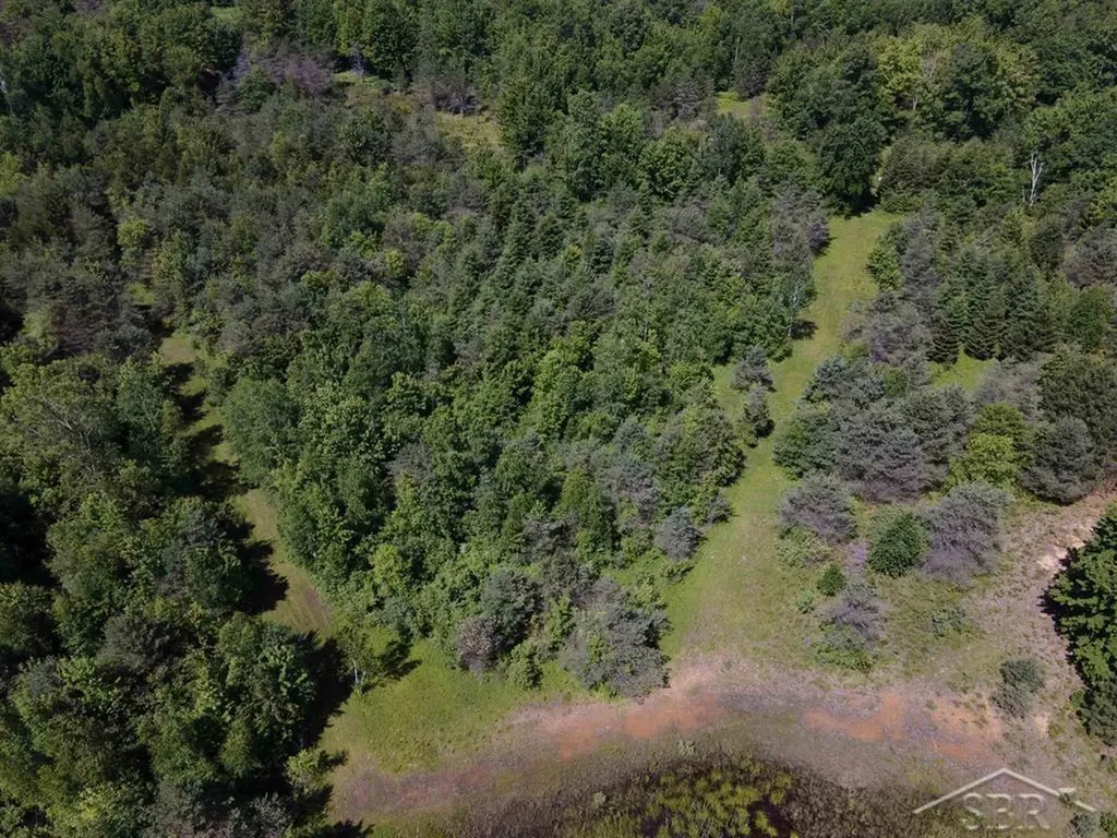 2202 W Huckleberry Road Jerome Township MI 48657