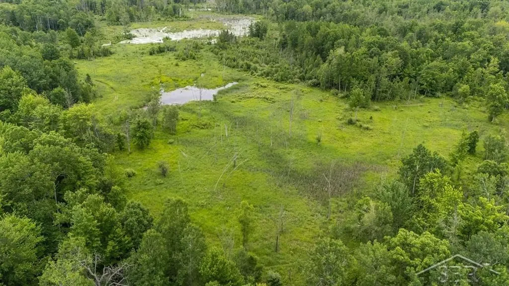3428 N Three Rivers Road Secord Township MI 48624