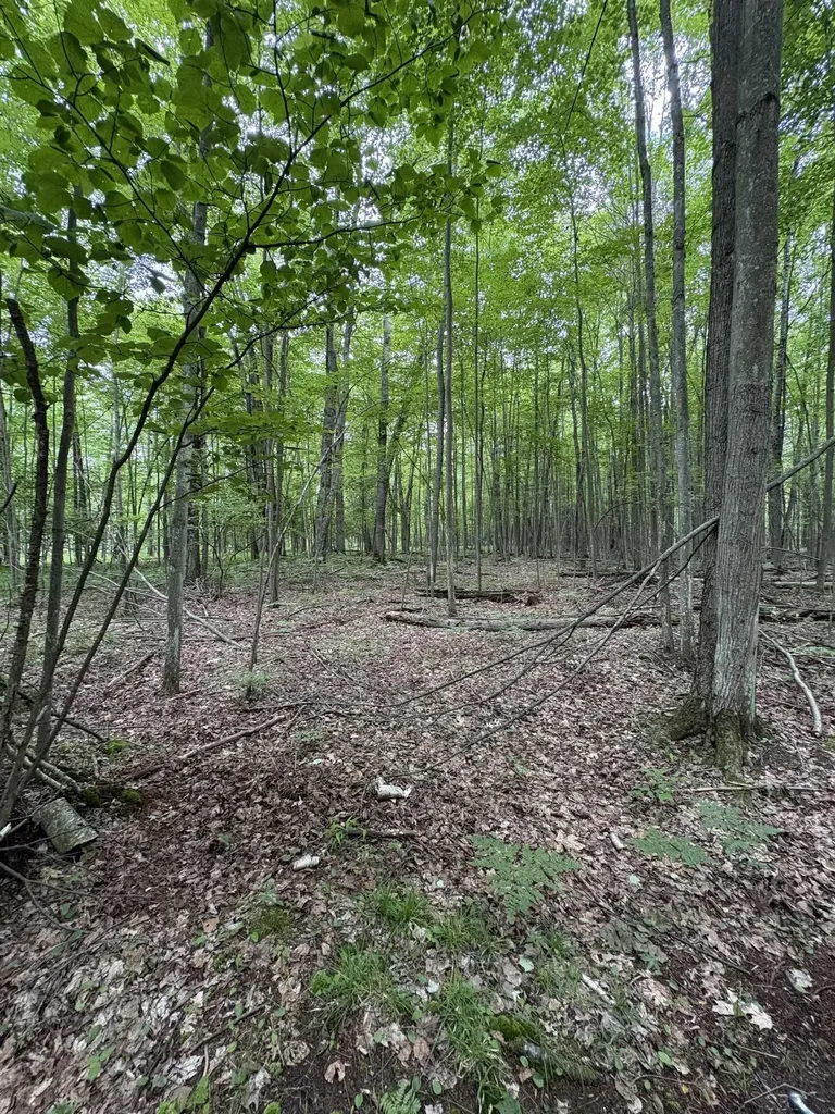 3680 Wieman Road Billings Township MI 48612