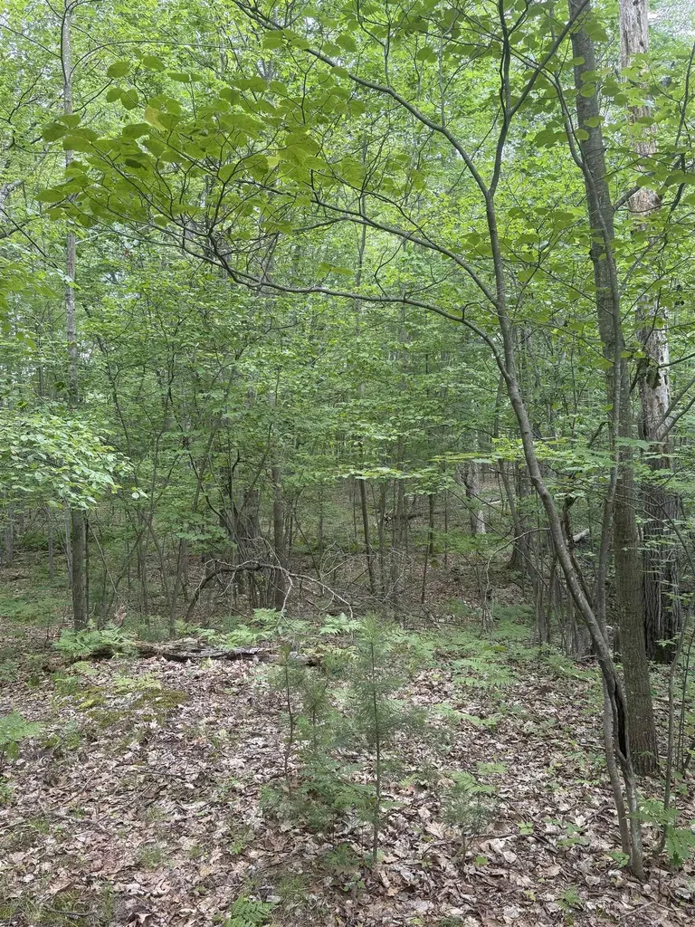 3680 Wieman Road Billings Township MI 48612