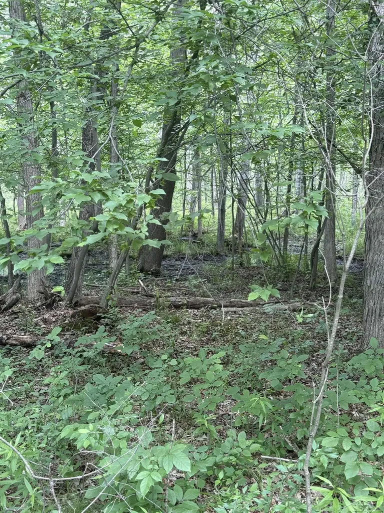 3680 Wieman Road Billings Township MI 48612