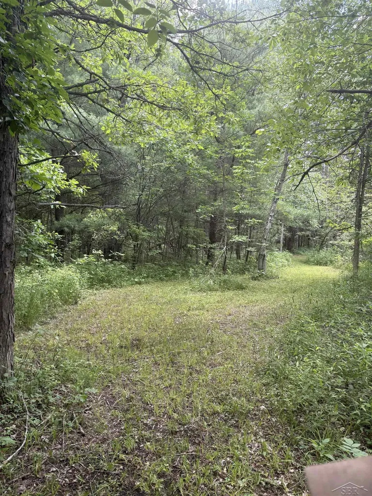 3680 Wieman Road Billings Township MI 48612