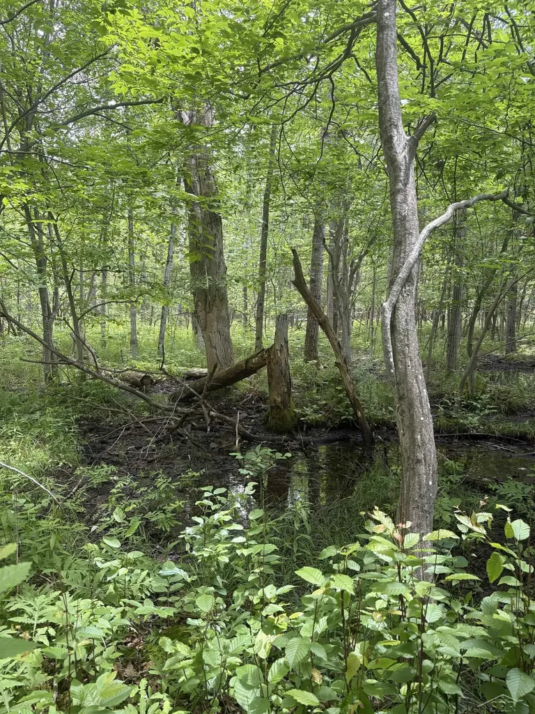 3680 Wieman Road Billings Township MI 48612