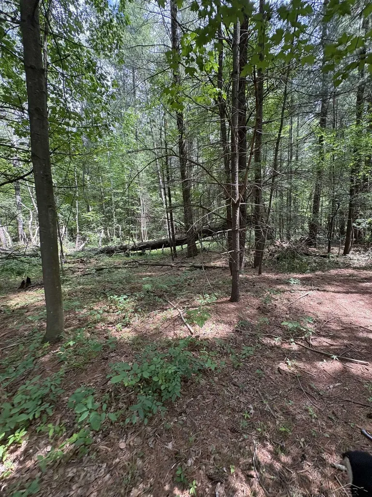 3680 Wieman Road Billings Township MI 48612