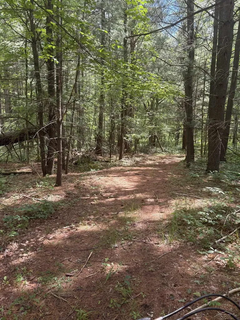 3680 Wieman Road Billings Township MI 48612