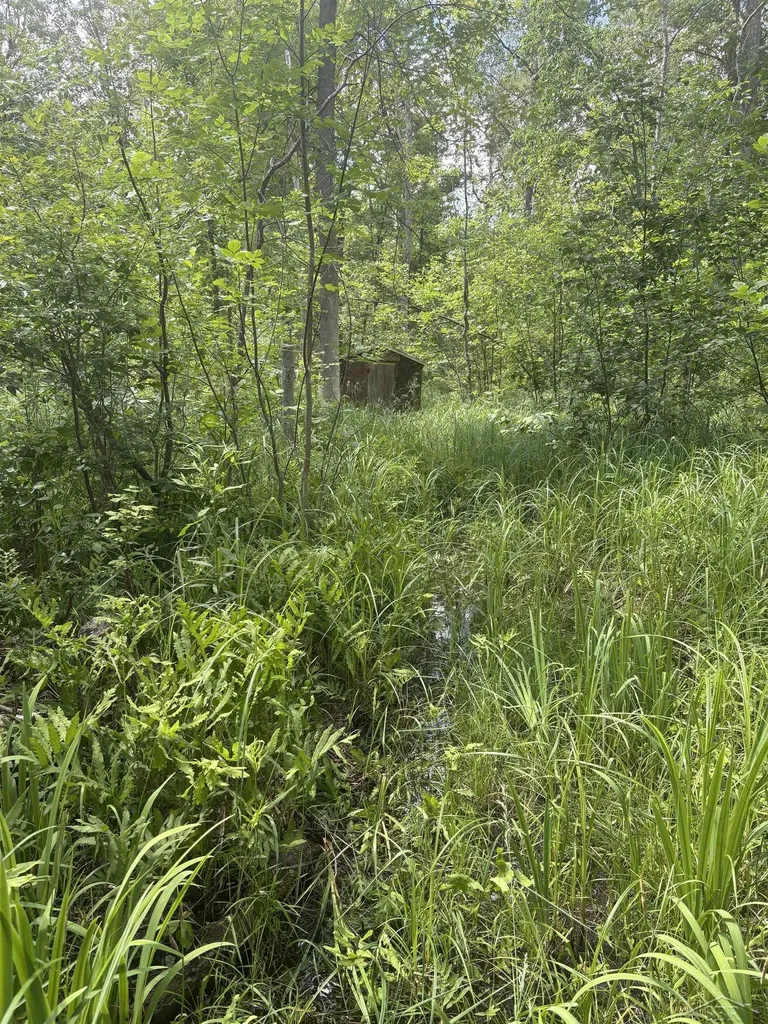 3680 Wieman Road Billings Township MI 48612