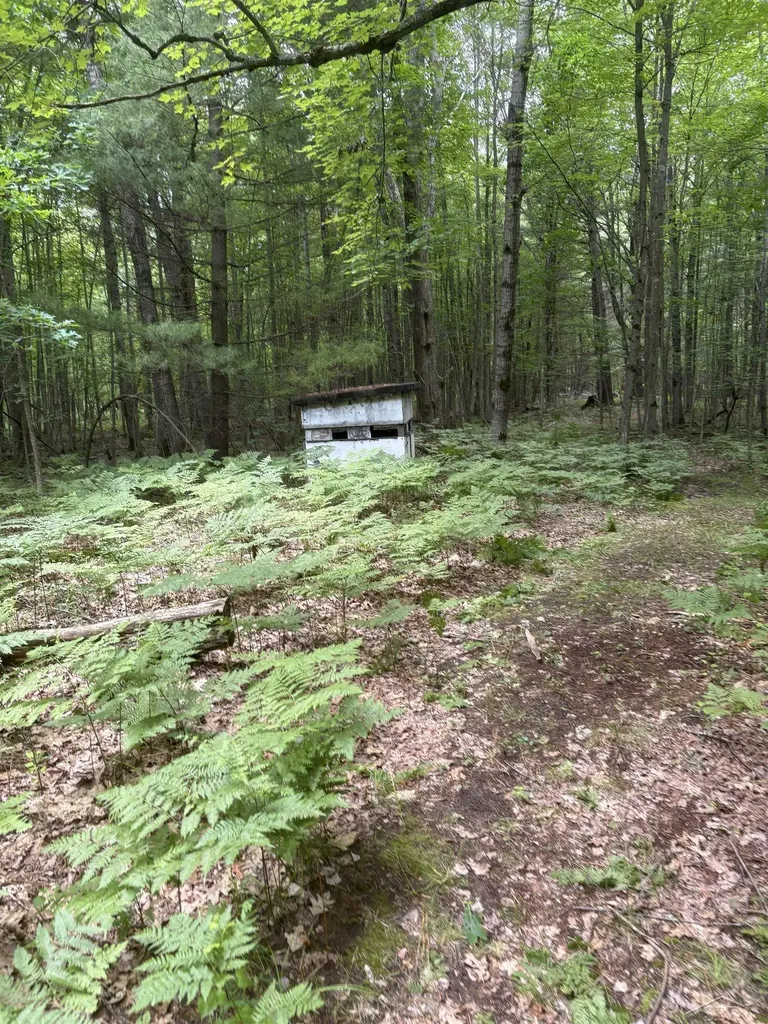 3680 Wieman Road Billings Township MI 48612