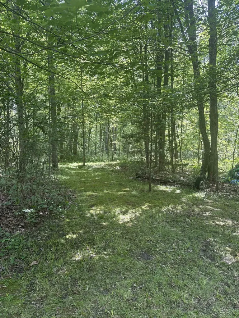 3680 Wieman Road Billings Township MI 48612
