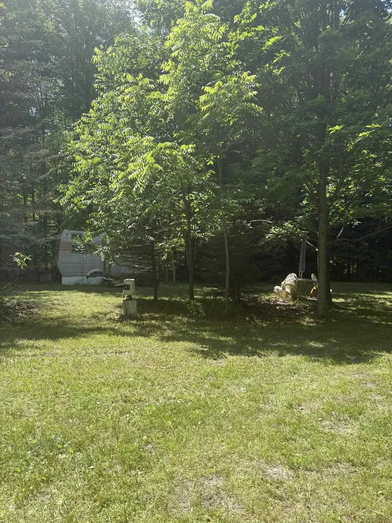 3680 Wieman Road Billings Township MI 48612