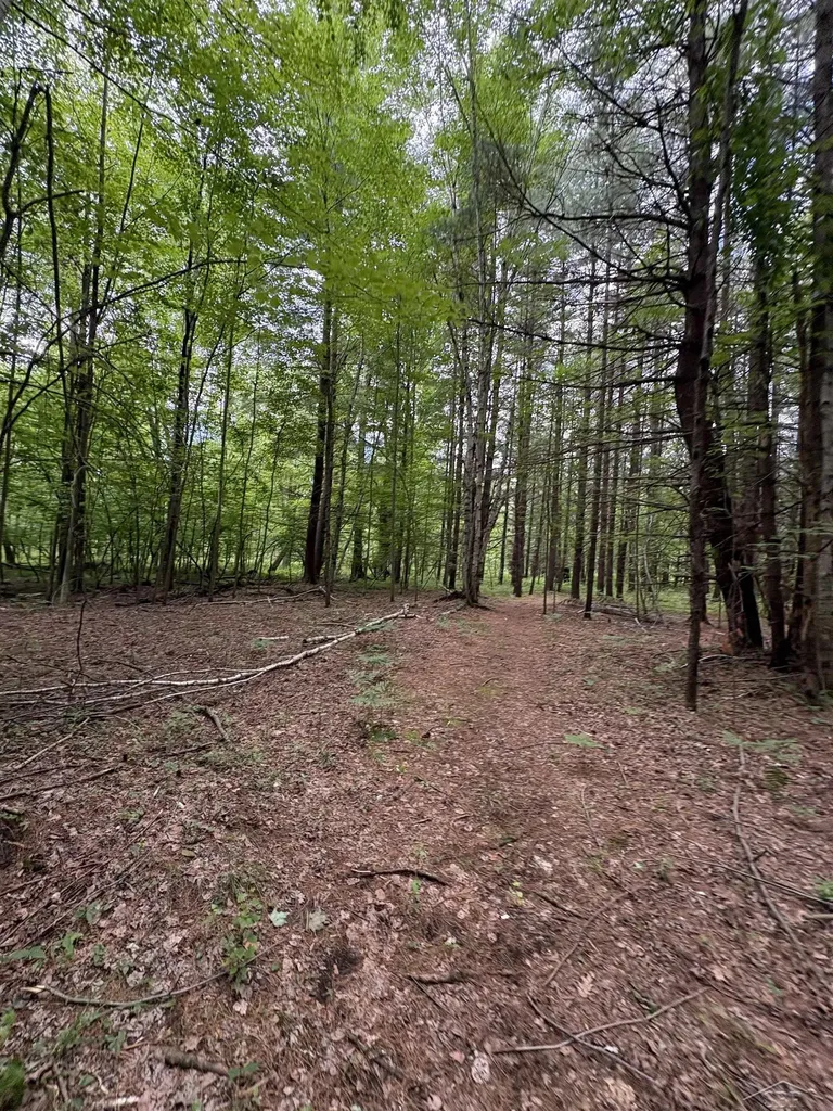 3680 Wieman Road Billings Township MI 48612