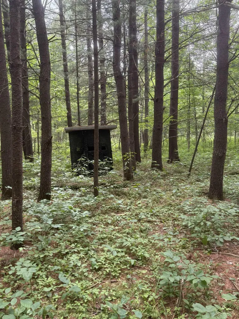 3680 Wieman Road Billings Township MI 48612