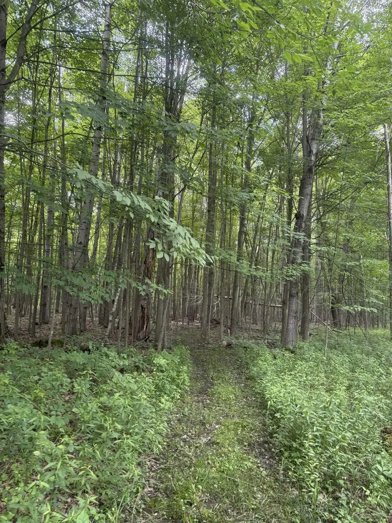 3680 Wieman Road Billings Township MI 48612