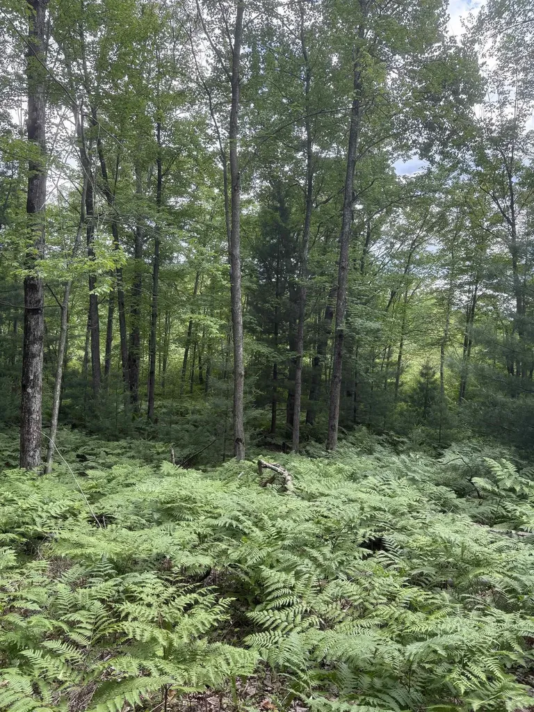 3680 Wieman Road Billings Township MI 48612