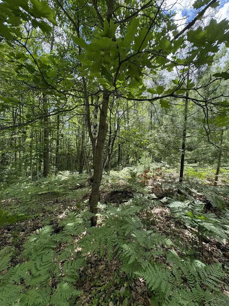 3680 Wieman Road Billings Township MI 48612