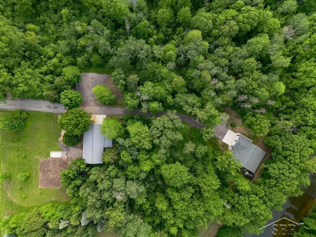 319 E Dopp Road Mt. Haley Township MI 48640