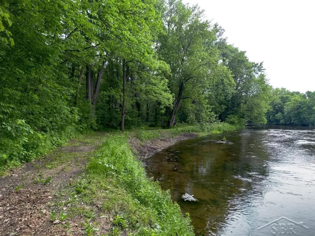 319 E Dopp Road Mt. Haley Township MI 48640