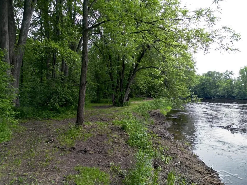 319 E Dopp Road Mt. Haley Township MI 48640