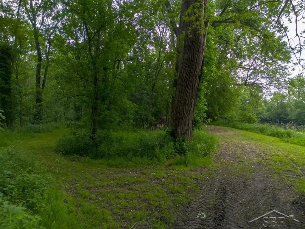 319 E Dopp Road Mt. Haley Township MI 48640