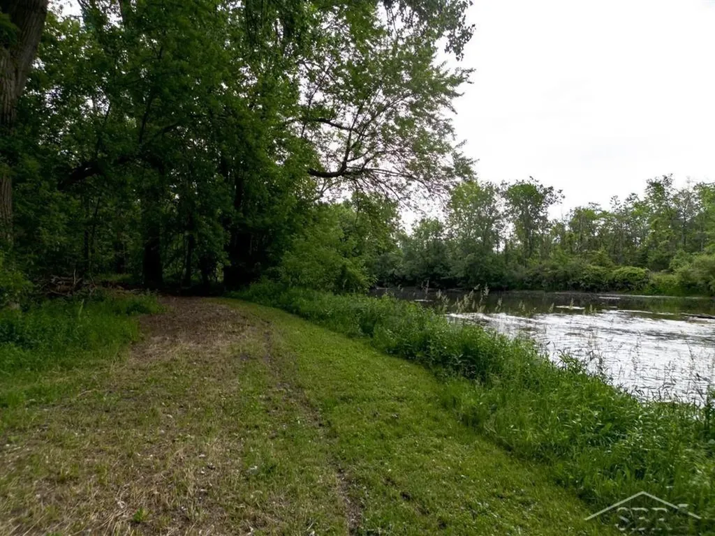 319 E Dopp Road Mt. Haley Township MI 48640