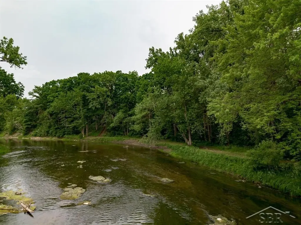 319 E Dopp Road Mt. Haley Township MI 48640
