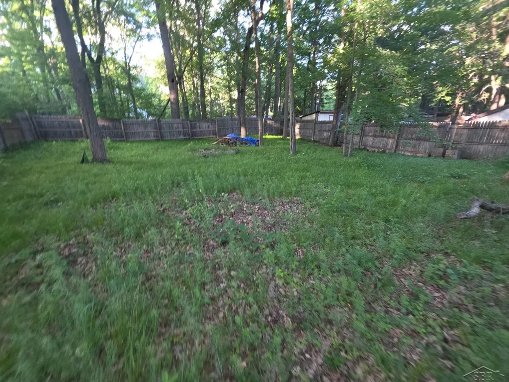 1042 Lake Street Lincoln Township MI 48625