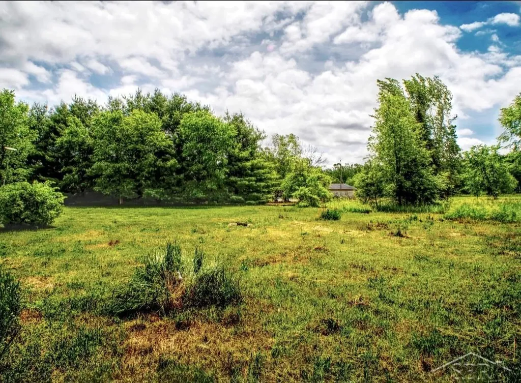 1128 Rashelle Drive Crystal Township MI 48818
