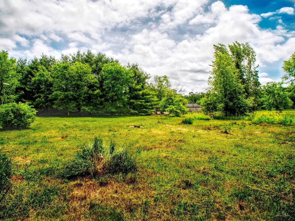 1128 Rashell Drive Crystal Township MI 48818
