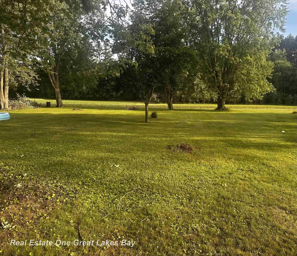 11315 Wahl Road Swan Creek Township MI 48655