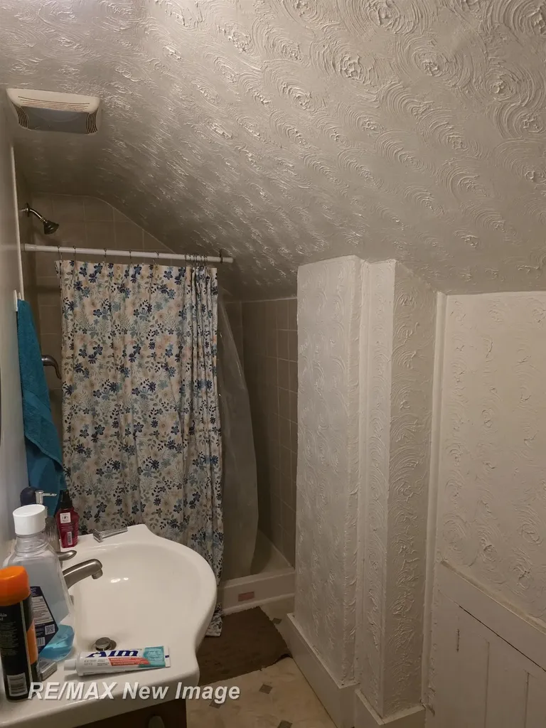 218 Lincoln Street Chesaning Village MI 48616