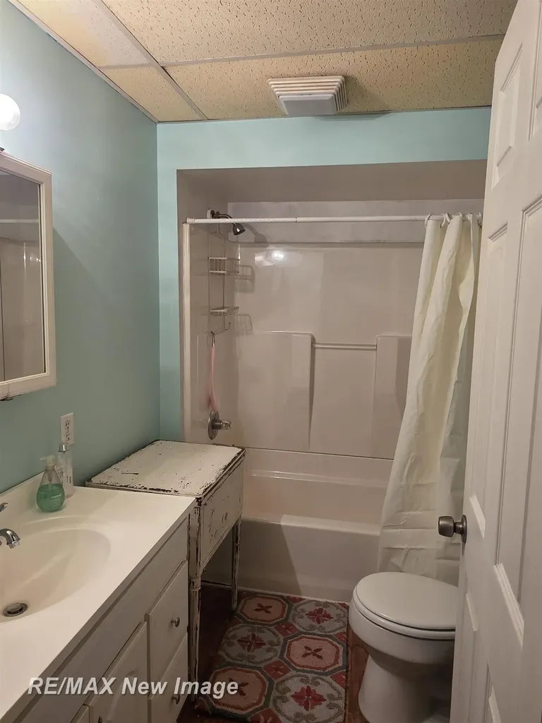 218 Lincoln Street Chesaning Village MI 48616