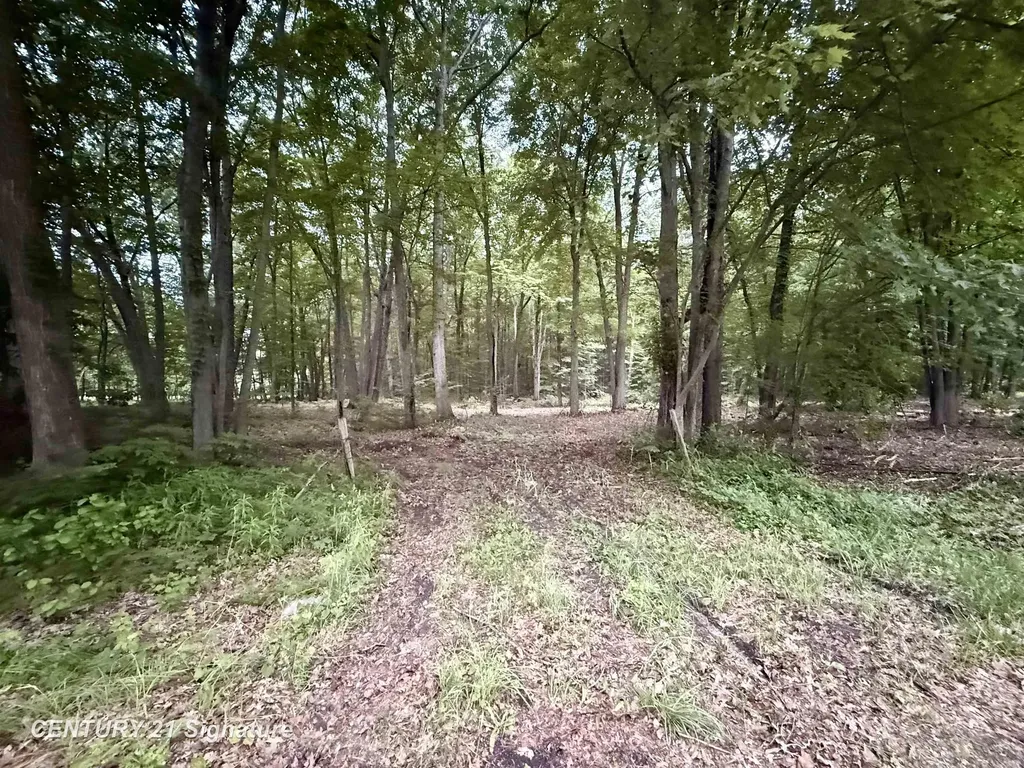 0 Seymour Road Taymouth Township MI 48417
