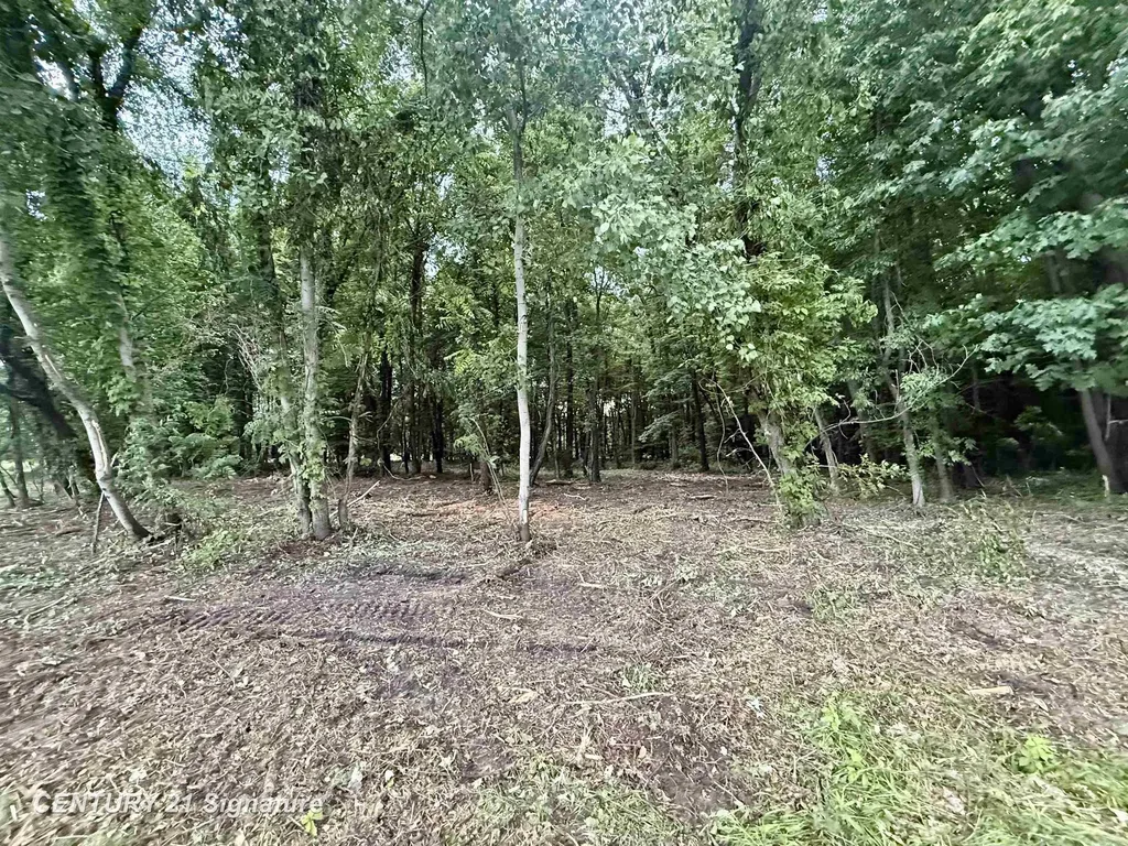 0 Seymour Road Taymouth Township MI 48417