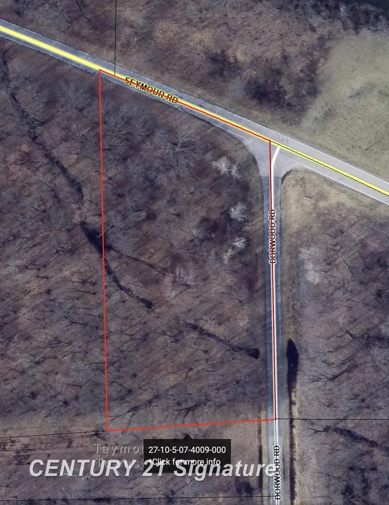 0 Seymour Road Taymouth Township MI 48417