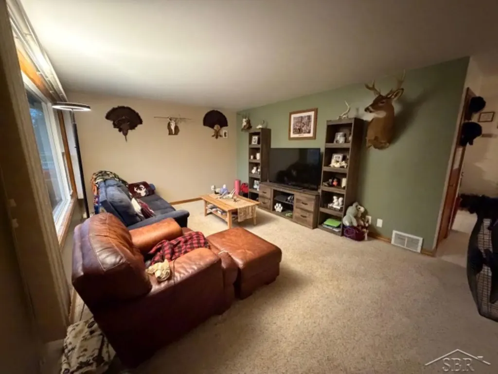 272 S 5 Mile Road Homer Township MI 48640